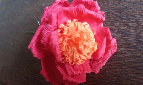 Große krepprosen rosen - große,