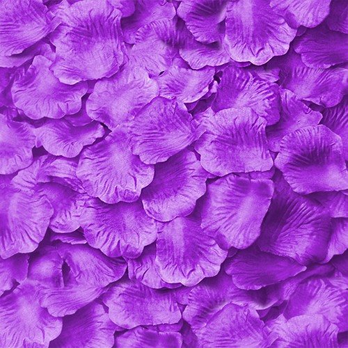 100 500 1000 - , rosenblätter